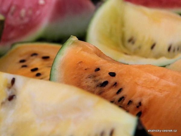 Vodní melouny s různou barvou dužiny