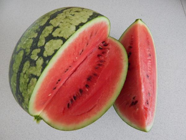 Sugarlee - americká odrůda vodního melounu